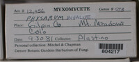 Image Associated With the Occurence